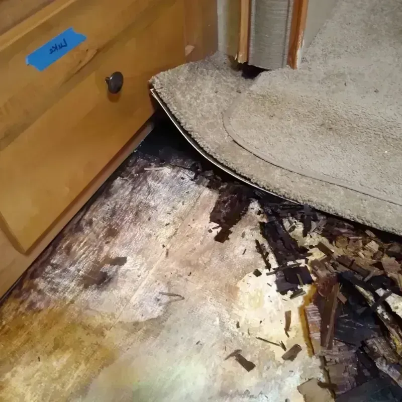 Best Wood Floor Water Damage Service in Reserve, NM